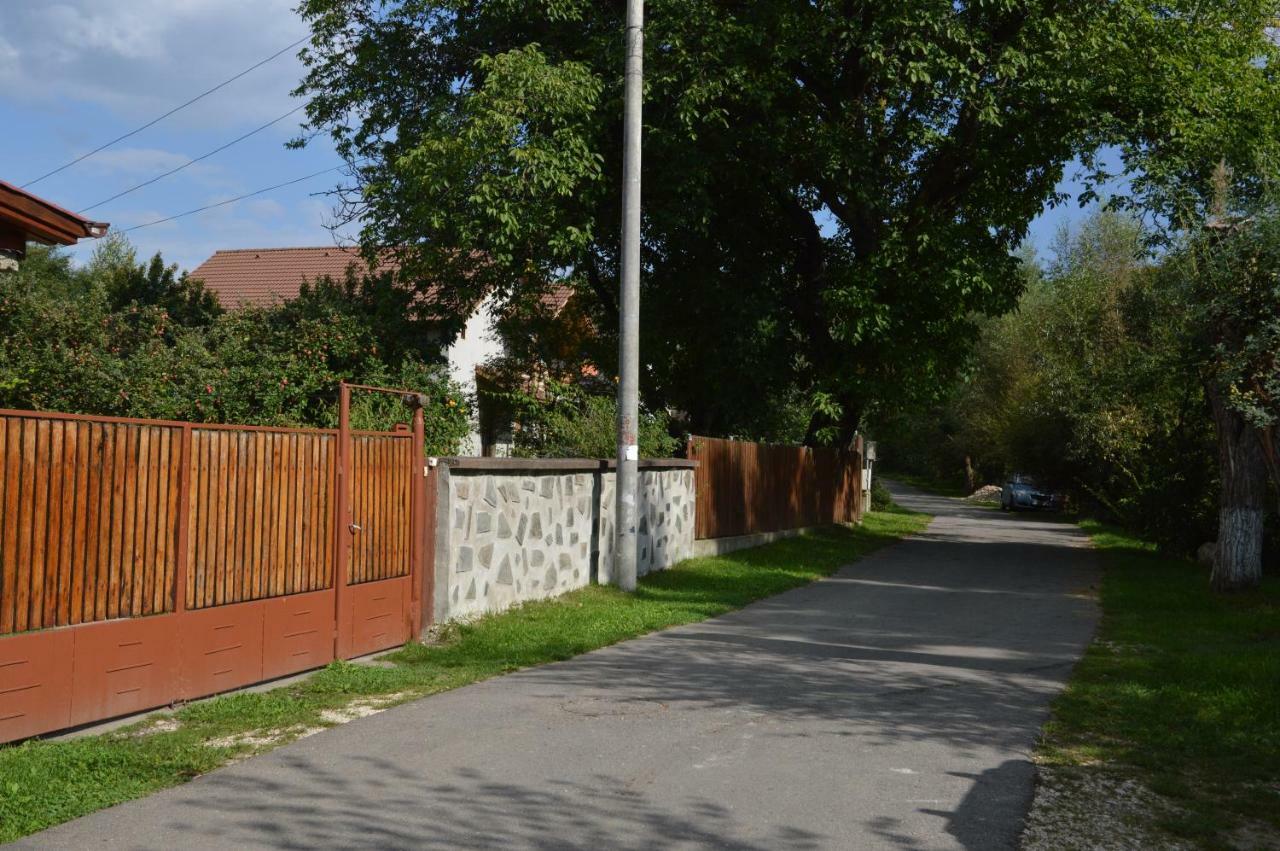 Baza Sportiva Adelina Câmpulung Exterior foto